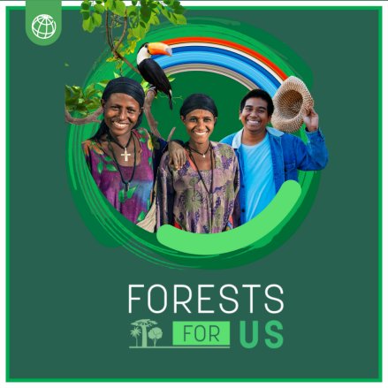 #ForestForUs campaign world bank 