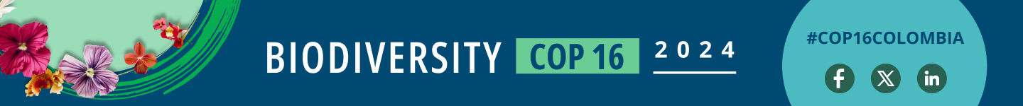 World Bank at COP16 on biodiversity banner social 