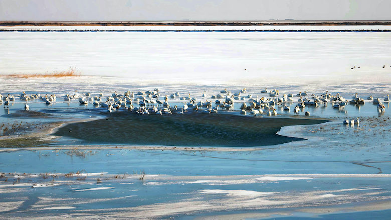 China Ecological Protection