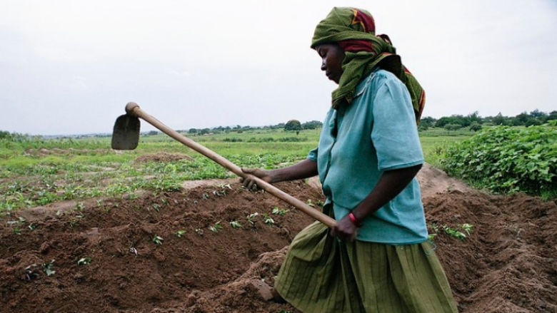 Woman cultivating crops in Tanzania