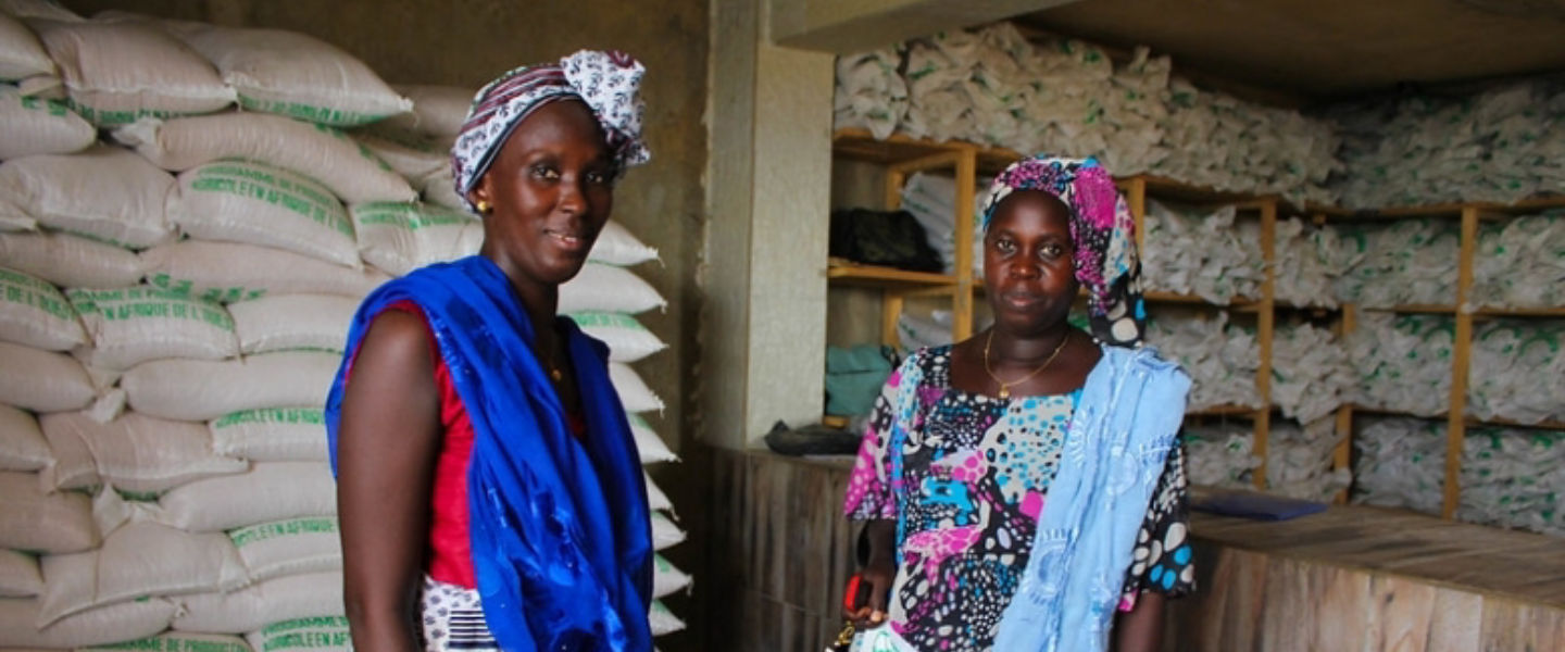 Smallholder farmers in Senegal