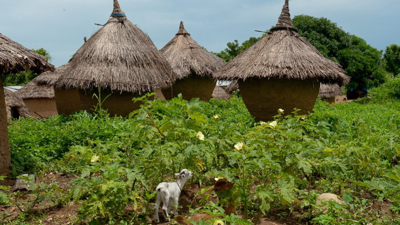 The people of Ta Kuti village (Niger State) are pastoralists and beneficiaries of Nigeria's Fadama II project.