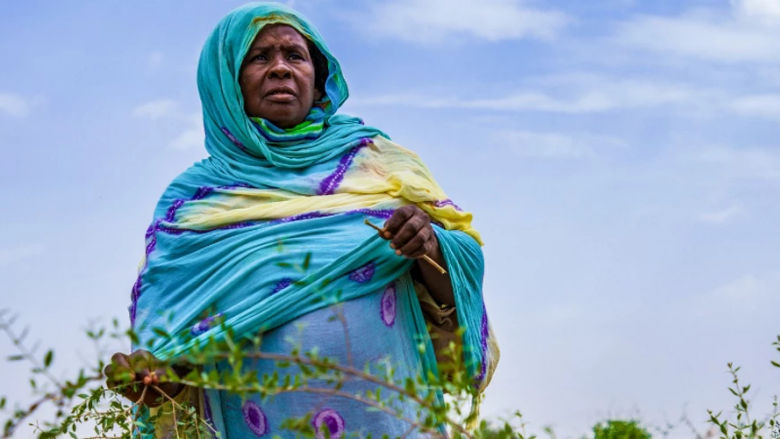 Unleashing womens potential and advancing gender equality in economic development: the World Bank Group Gender Strategy 2024