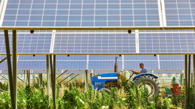 An elderly Asian man drives a tractor through a rice field powered by solar photovoltaic panels