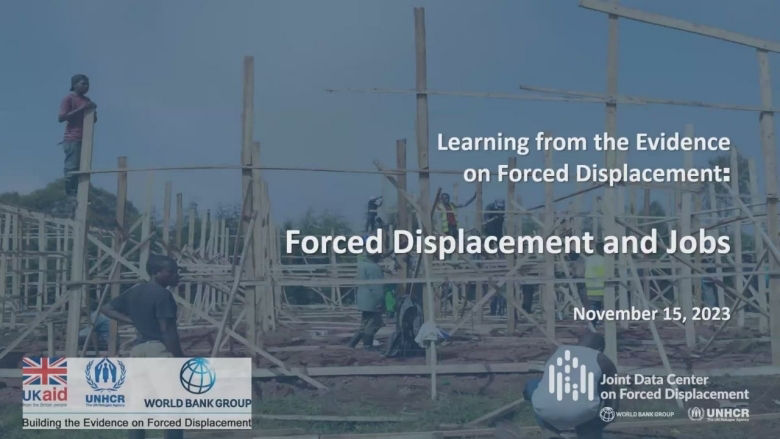 Forced Displacement and Jobs Module 8