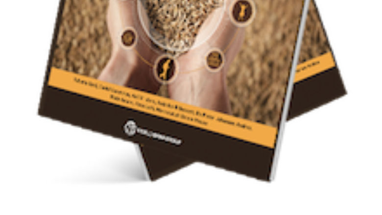 MENA Economic Update April 2023 (English)