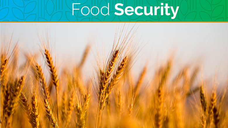 Food Security Update