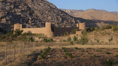 In Afghanistan, Farmer Trades Old Horticultural Practices for New to 