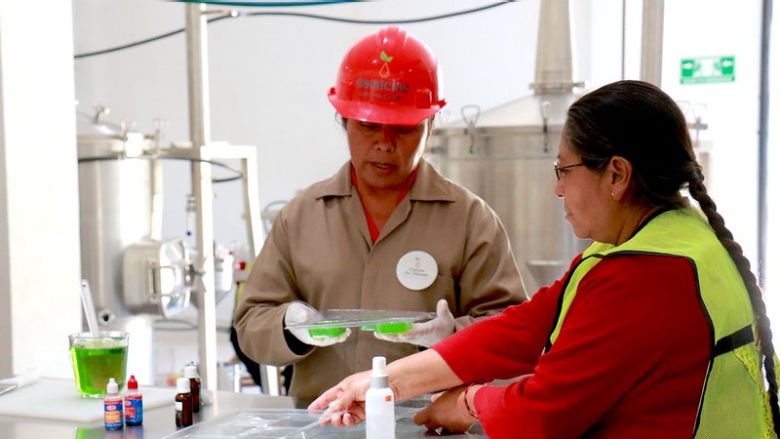 dos mujeres en un laboratorio en mexico