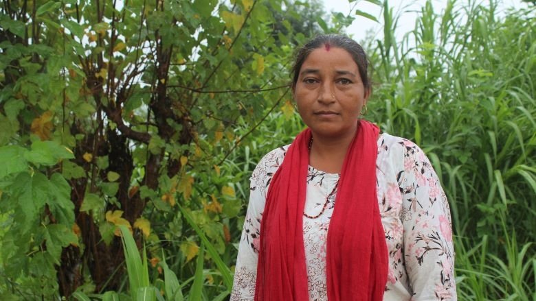 Jamuna Devi from Nepal's Bardiya infront of her berseem plantation 