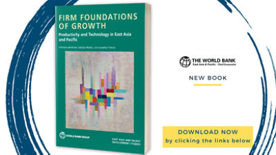 Firm Foundations of Growth: Productivity and Technology in