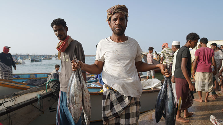 yemen mena 2025 fisher