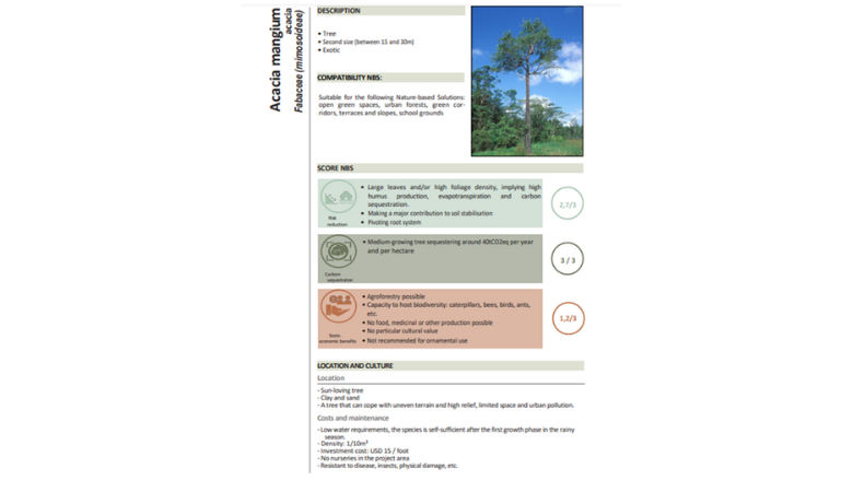 Screenshot of the World Bank Vegetation Atlas