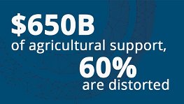 WBG Academy - Data Point