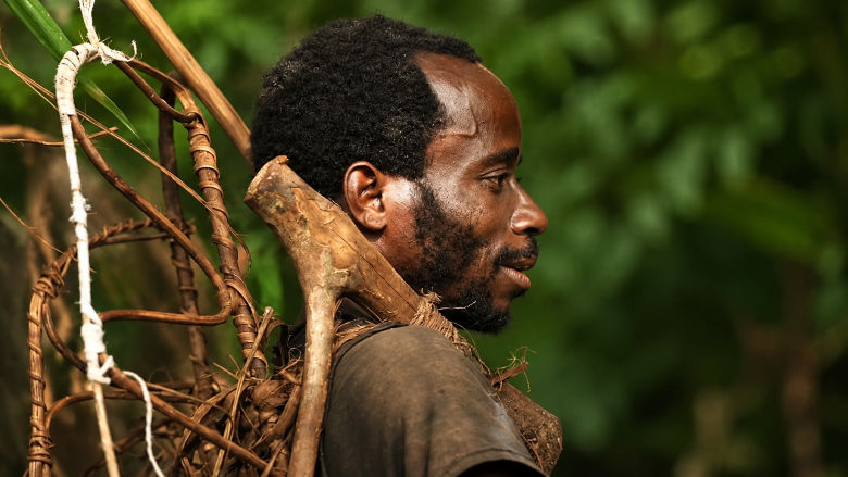 Congo Basin Forest Economies Program, World Bank