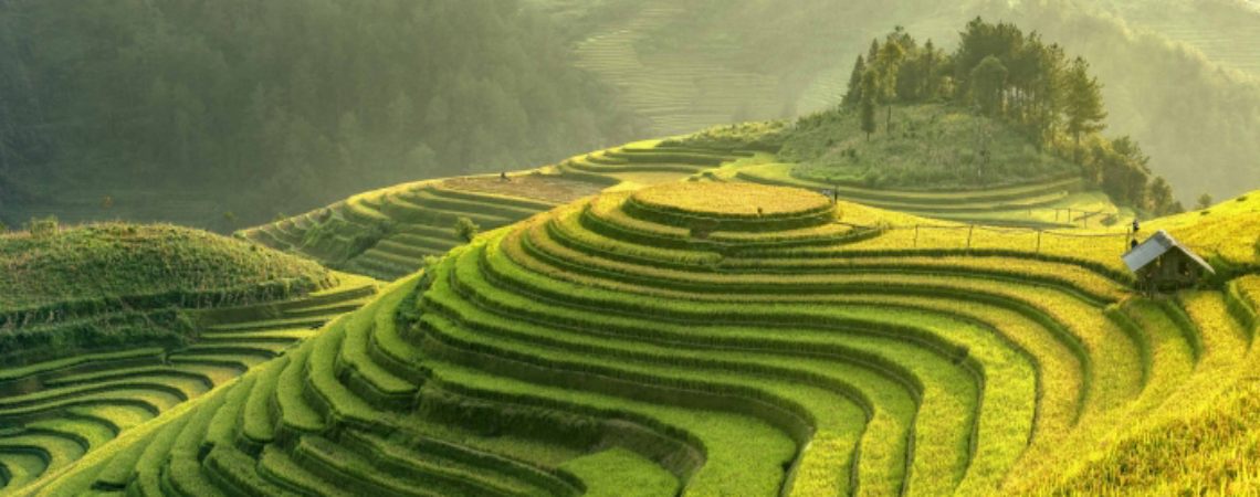 WBG Academy - Livable Landscapes