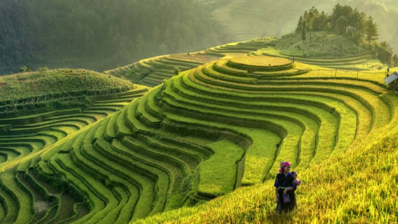 WBG Academy - Livable Landscapes