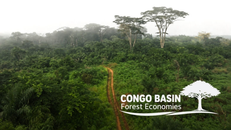 Congo Basin Forest Economies Program, World Bank