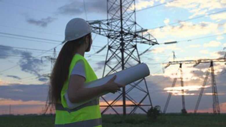 WBG Academy - Women Employment in Energy Sector Utilities