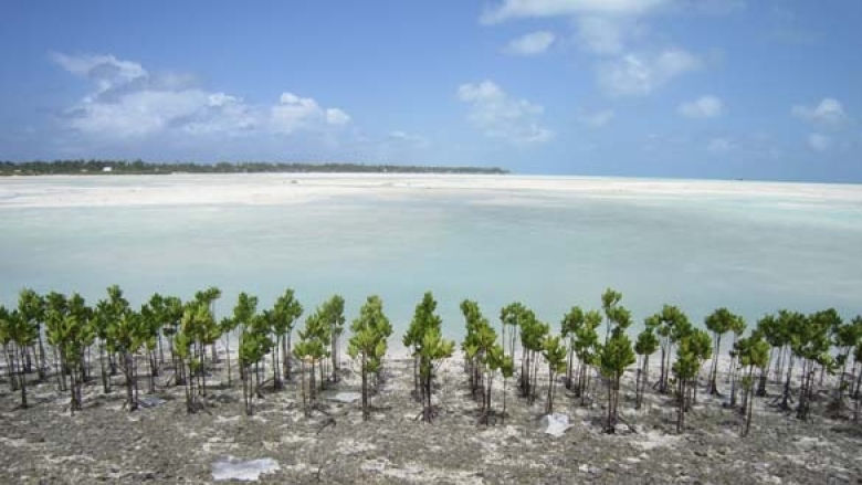 Adaptation measures on South Tarawa, Kiribati 