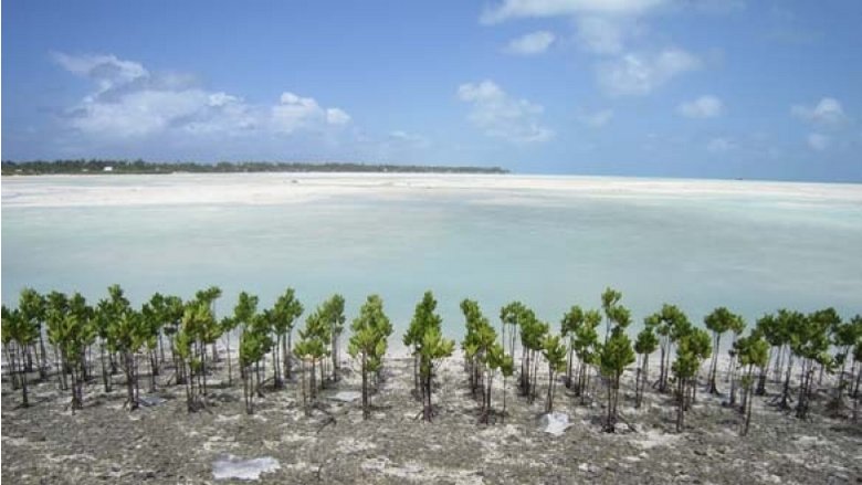 Adaptation measures on South Tarawa, Kiribati 