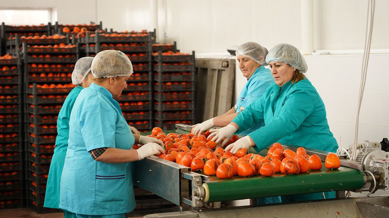 Women workers drying persimmon in a facility in Azerbaijan
