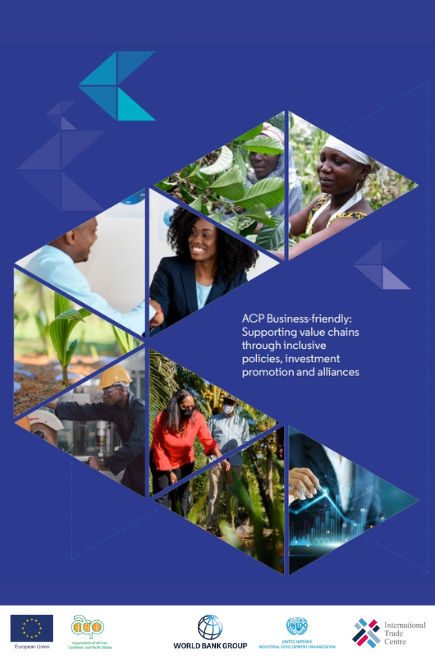 ACP-Business-Friendly-Brochure