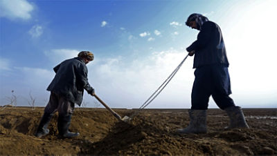 Canal Project Turns Wastelands into Farmlands in Northern 