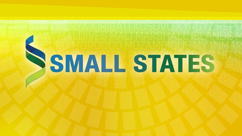 Small States Banner New
