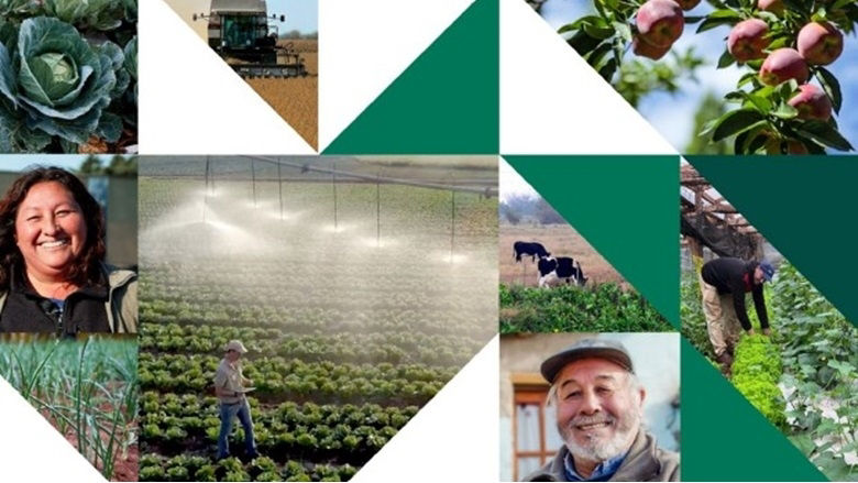 Argentina-Agriculture sector-Report-June 4, 2024