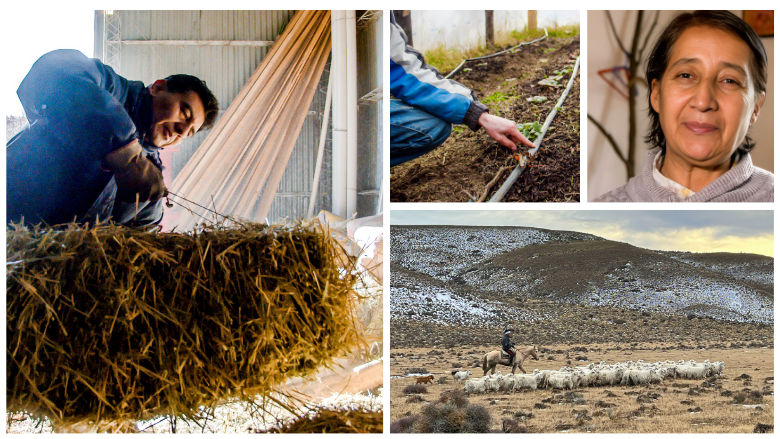 ASA Argentina Agricultura Patagonia