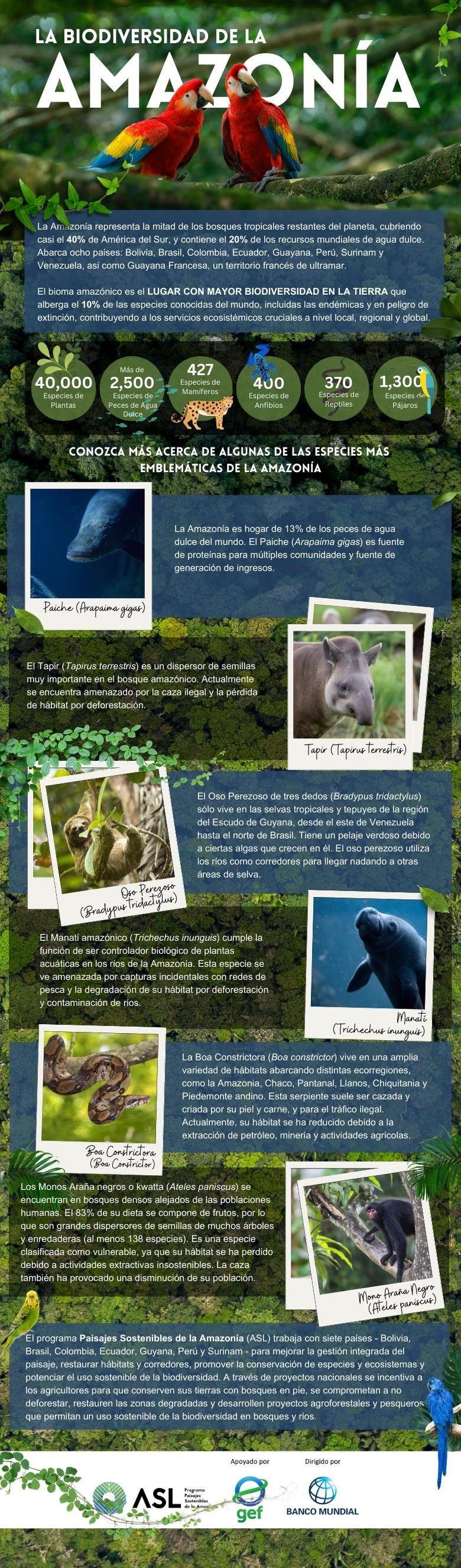 Progama Paisajes Sostenibles de la Amazonía