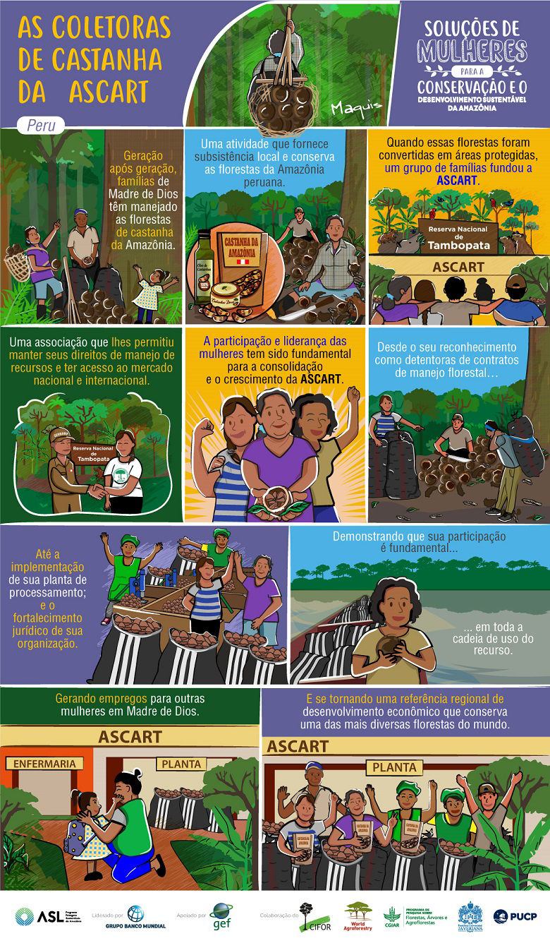 Amazon Sustainable Landscapes Program - Women´s Solutions