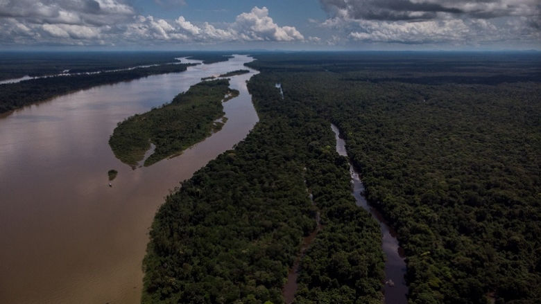 Amazon Sustainable Landscapes Program 