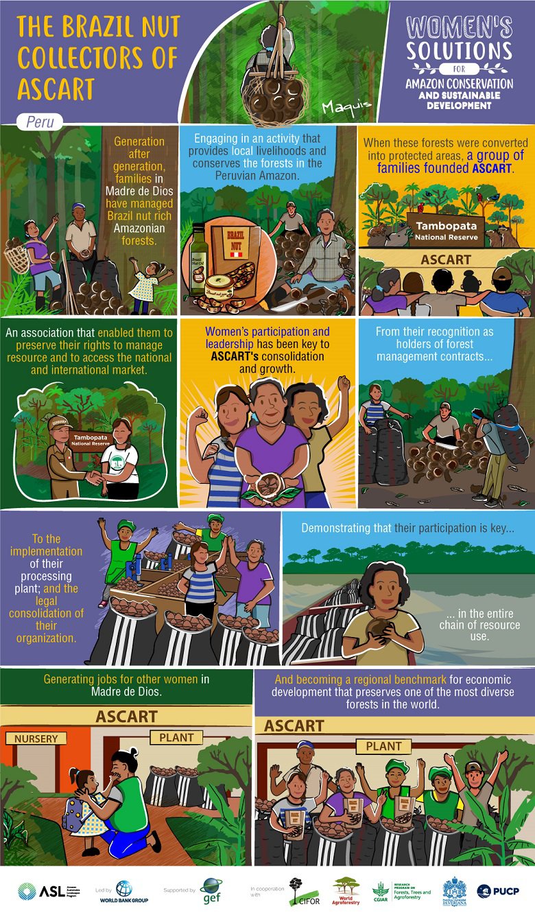 Amazon Sustainable Landscapes Program - Women's Solutions