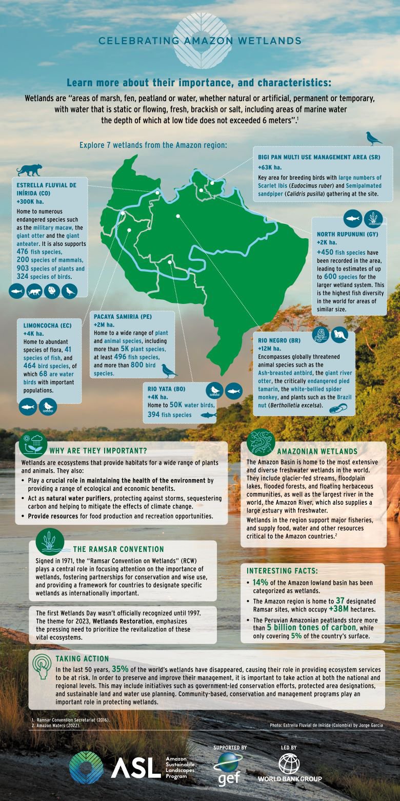 Celebrating Amazon Wetlands Infographic