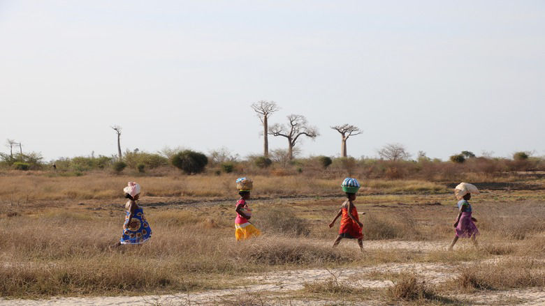Group of women walking and carrying things on their head in dry and arid savannah landscape in Madagascar
