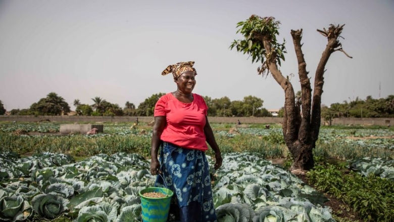 Africa-gender-Innovation-Lab-home-page-Image-The-Gambia-2022.jpg