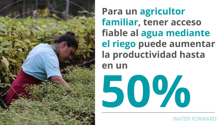 Agricultura Familiar