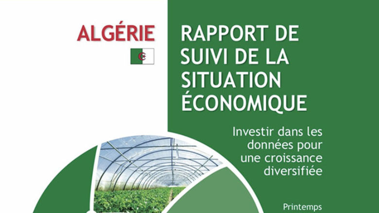 الجزائر: الاستثمار في البيانات من أجل نمو اقتصادي متنوع
