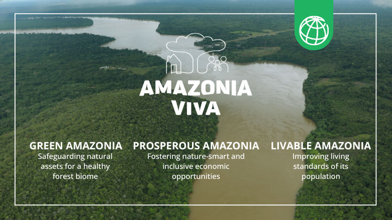 Amazonia Viva - 3 pillars