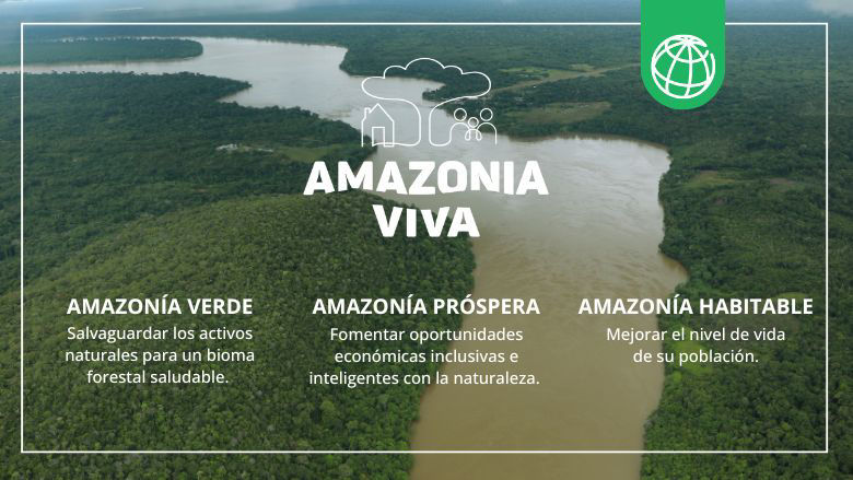 Amazonia Viva - pilares ESP 