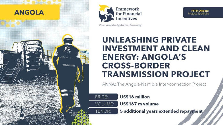 Angola FFI Project