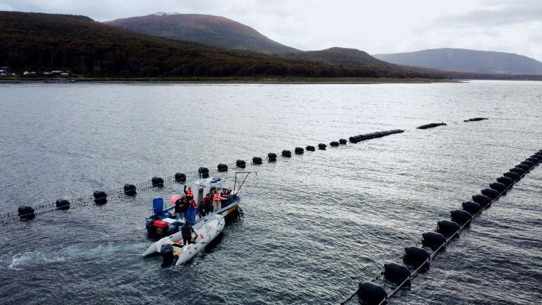Aquaculture_Argentina