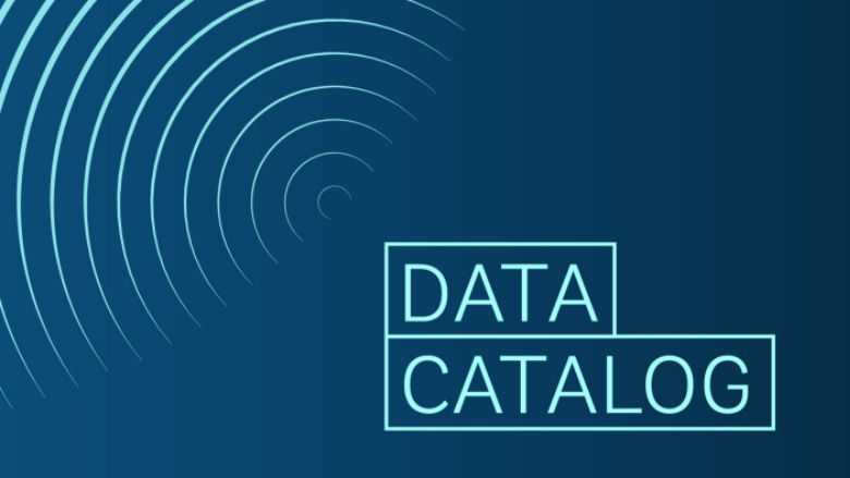 Data Catalog logo