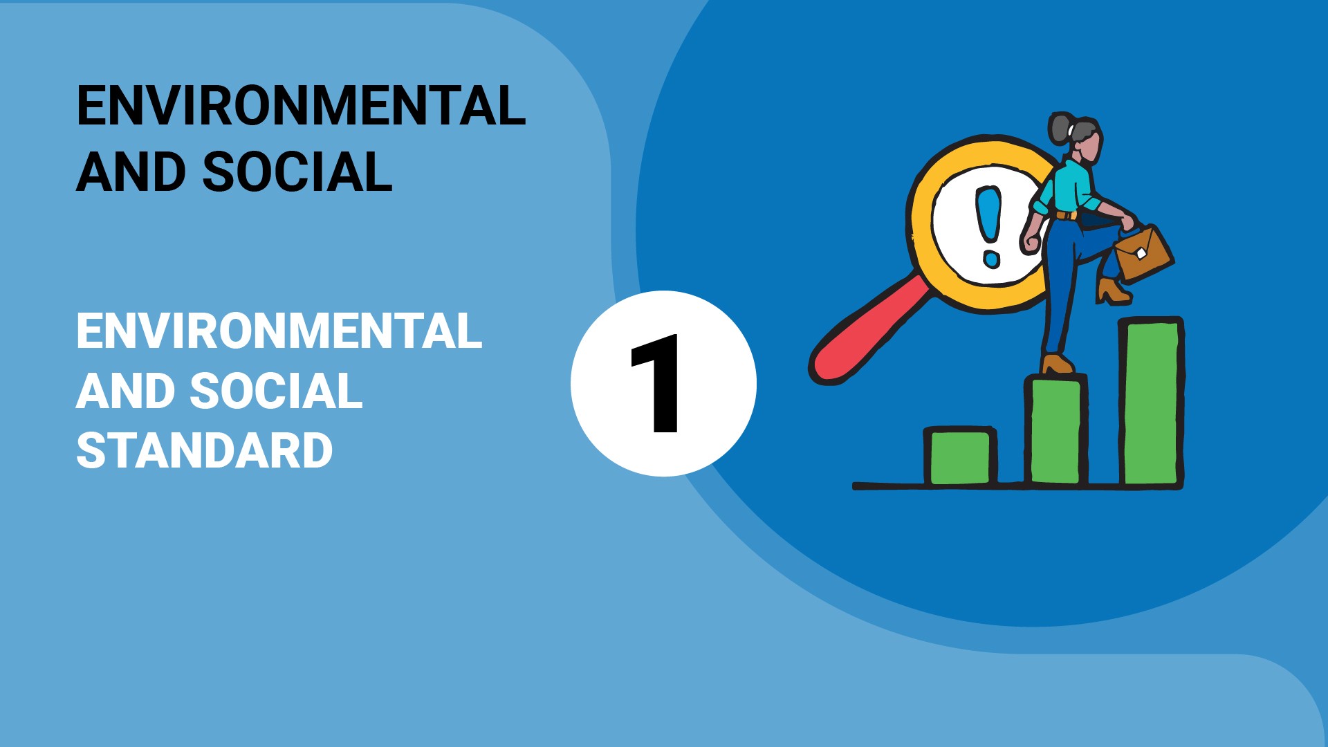 Overview of the Environmental and Social Standards