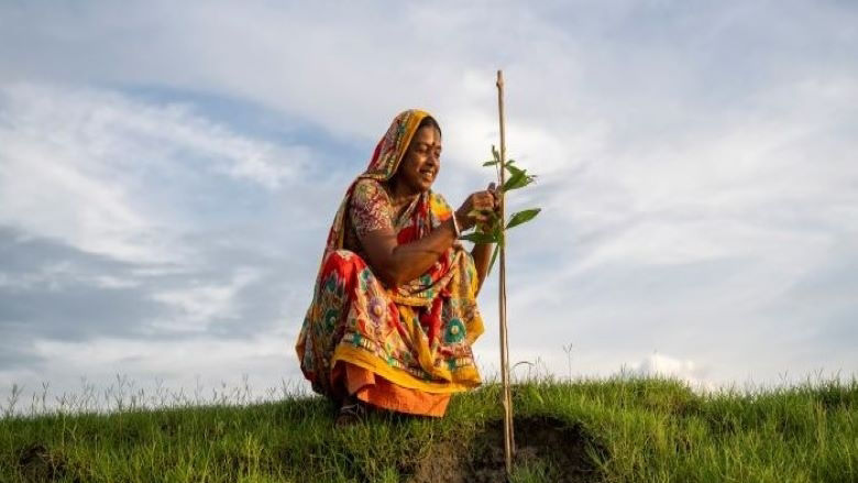 South Asian lady tending to a plant in a field on a cloudy day.