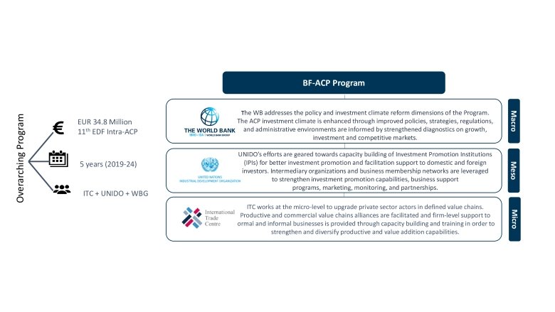 BF ACP Program Levels