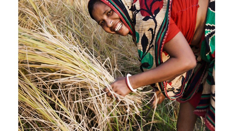 Bengali-Woman-Farmer.jpg