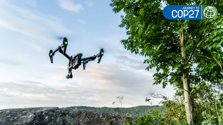 Drone flying over a forest